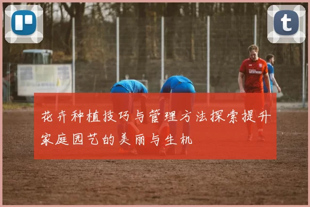 花卉种植技巧与管理方法探索提升家庭园艺的美丽与生机