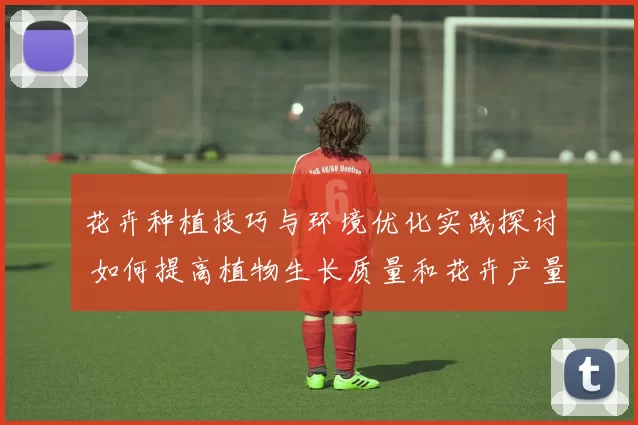 花卉种植技巧与环境优化实践探讨 如何提高植物生长质量和花卉产量