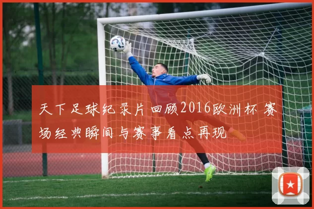 天下足球纪录片回顾2016欧洲杯 赛场经典瞬间与赛事看点再现