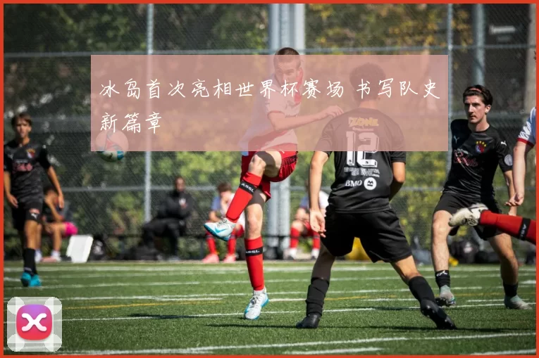 冰岛首次亮相世界杯赛场 书写队史新篇章