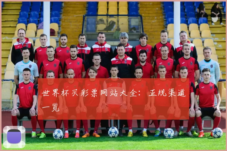 世界杯买彩票网站大全:正规渠道一览