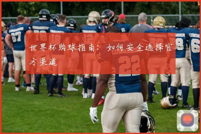 世界杯购球指南:如何安全选择官方渠道