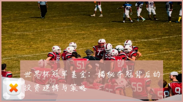 世界杯冠军基金：揭秘夺冠背后的投资逻辑与策略