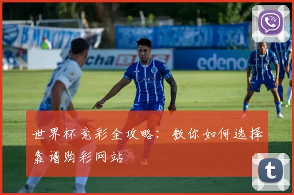 世界杯竞彩全攻略：教你如何选择靠谱购彩网站