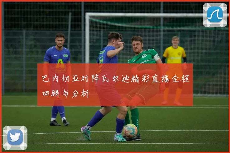 巴内切亚对阵瓦尔迪精彩直播全程回顾与分析