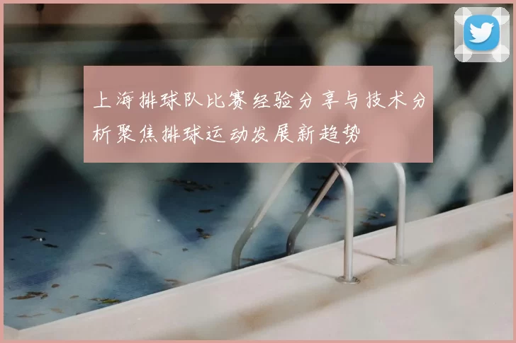 上海排球队比赛经验分享与技术分析聚焦排球运动发展新趋势