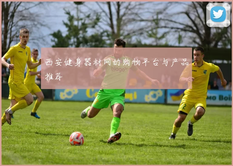 西安健身器材网的购物平台与产品推荐