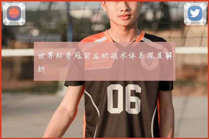 世界杯夺冠背后的战术体系深度解析