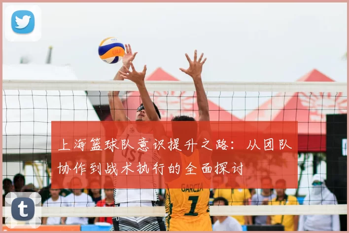 上海篮球队意识提升之路:从团队协作到战术执行的全面探讨