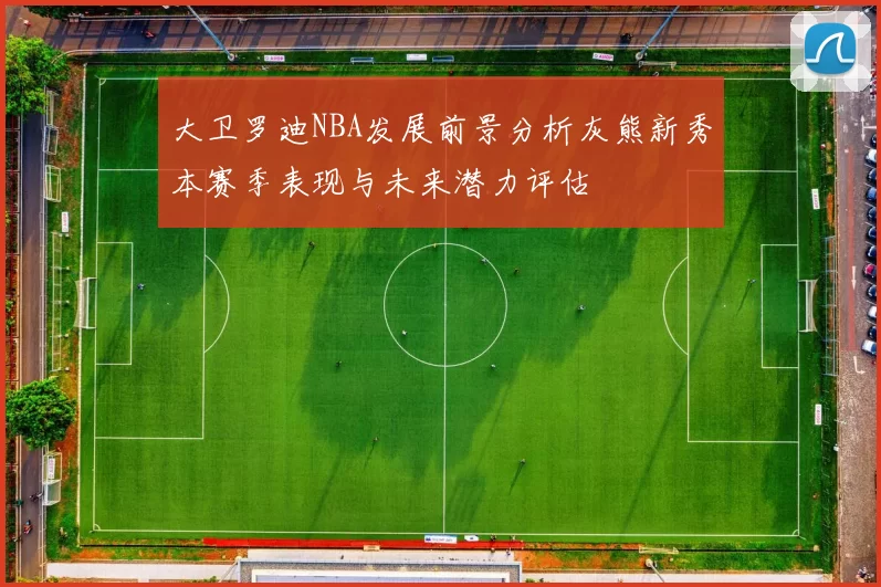 大卫罗迪NBA发展前景分析灰熊新秀本赛季表现与未来潜力评估