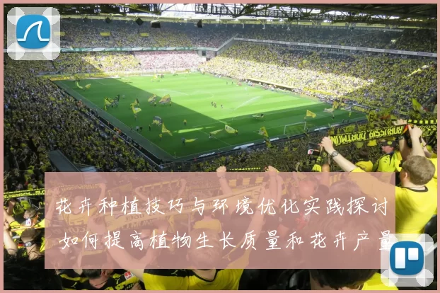 花卉种植技巧与环境优化实践探讨 如何提高植物生长质量和花卉产量