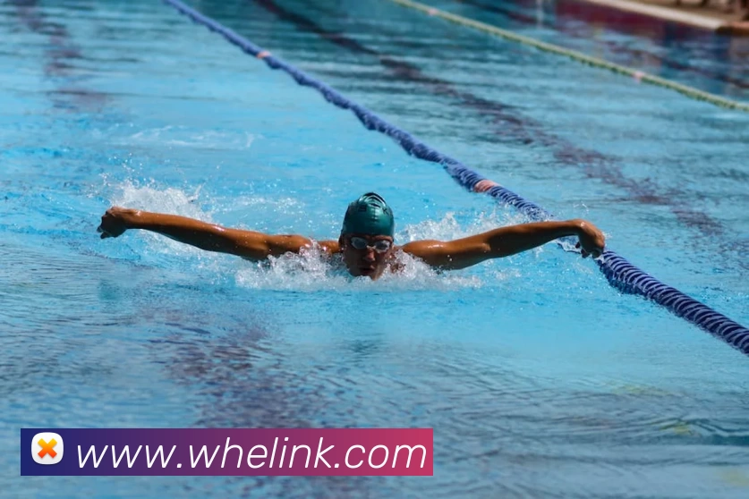 亚新官网服务体系